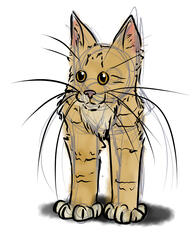 A cat with just two legs.